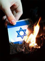 regrooves🇵🇸 tweet media