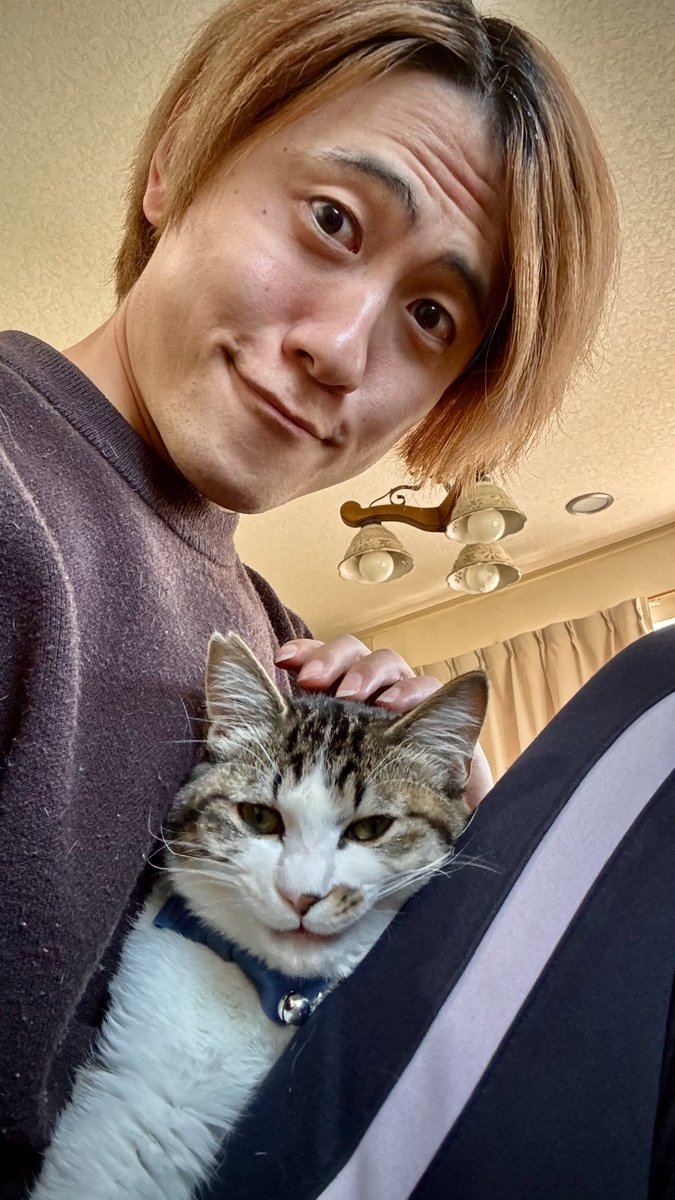 『クスッと動画』けろCHAN【Satoshi Onishi】 tweet media