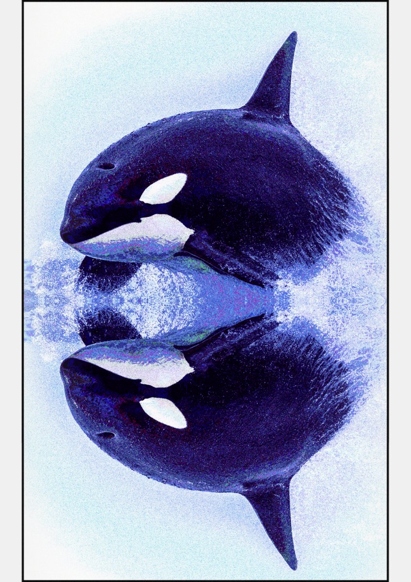 murijlo's tweet photo. Minha Bela Orca... 22%
tô sentindo uma coisa meio katsushika hokusai. #meleva https://t.co/L79SmTDz6W
