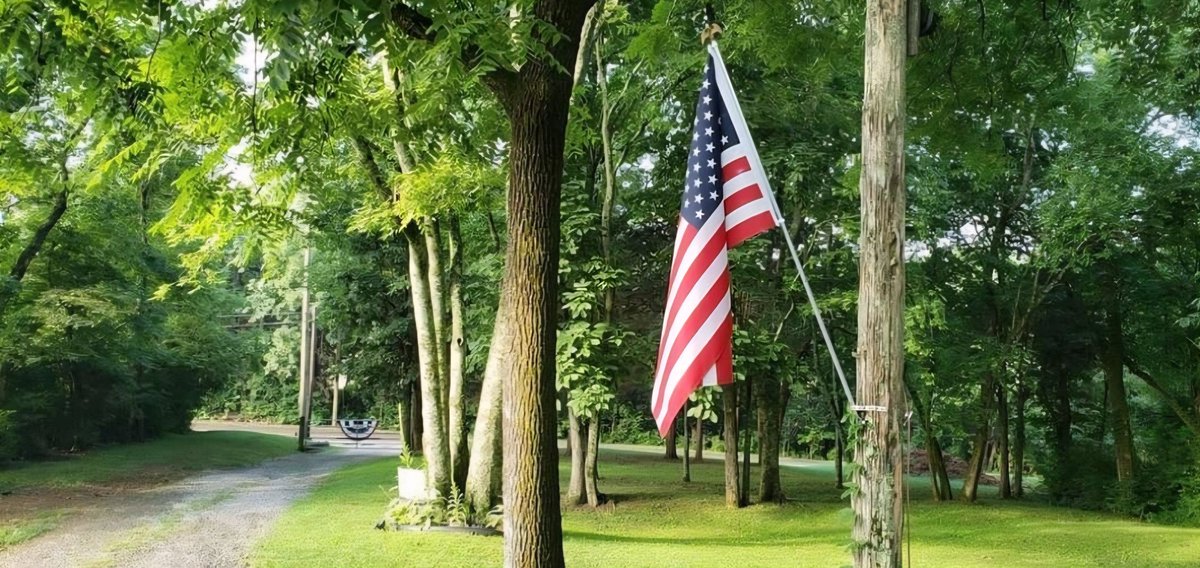 🇺🇸 T Ray 🇺🇸America First 🇺🇸 tweet media