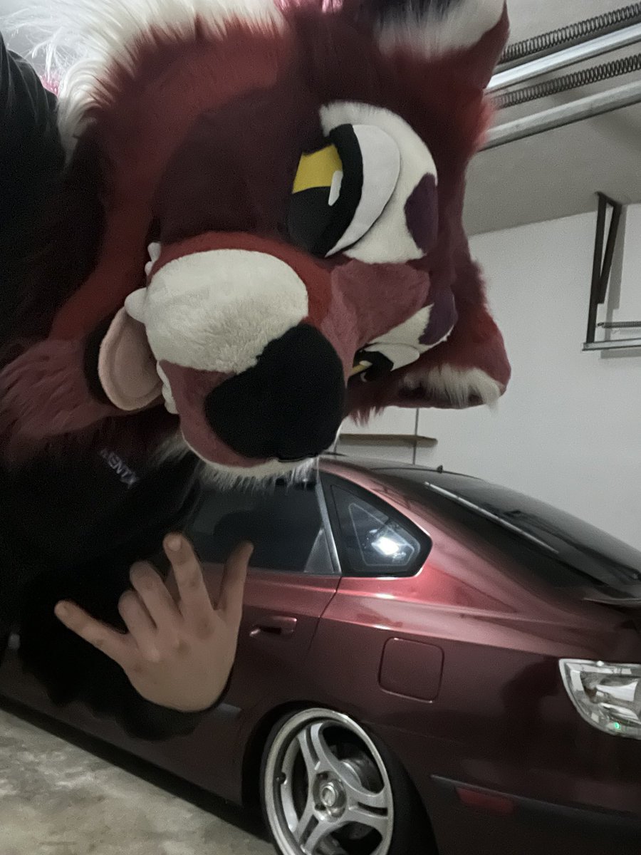 Happy Mar10 day, go give your marten homies an egg (or $20)