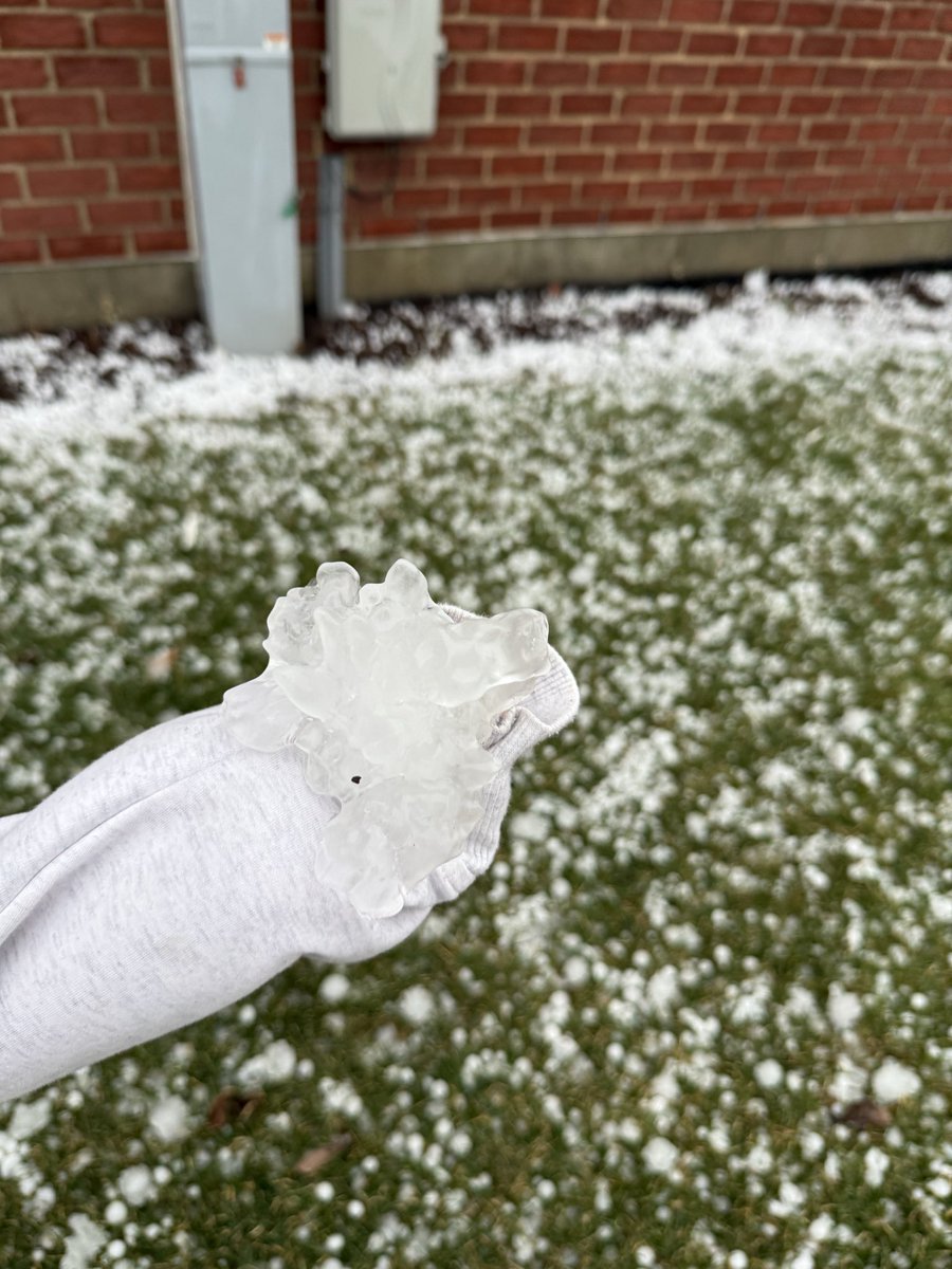 Chicago's Wingman tweet media