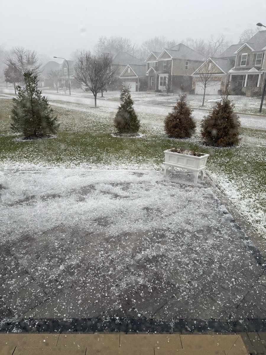 Chicago's Wingman tweet media