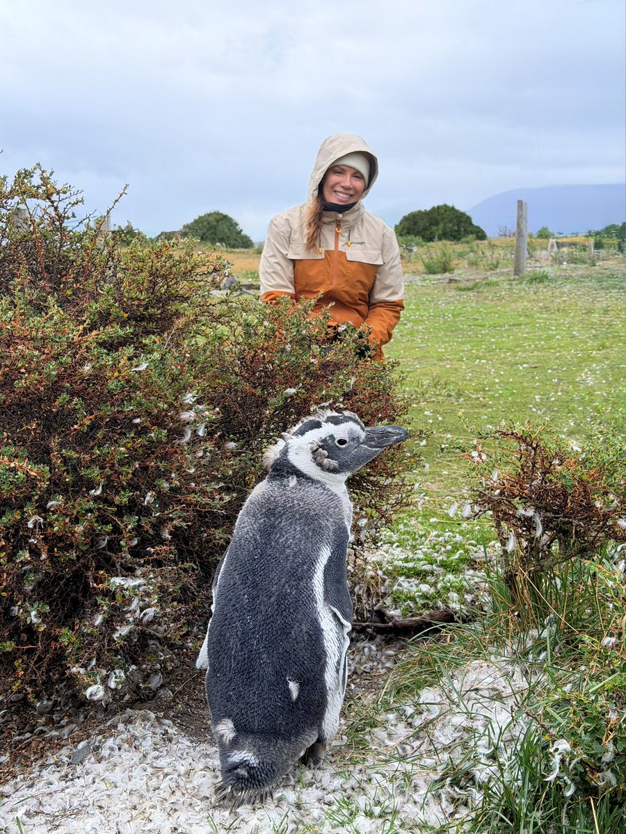 Regina Volpato tweet media