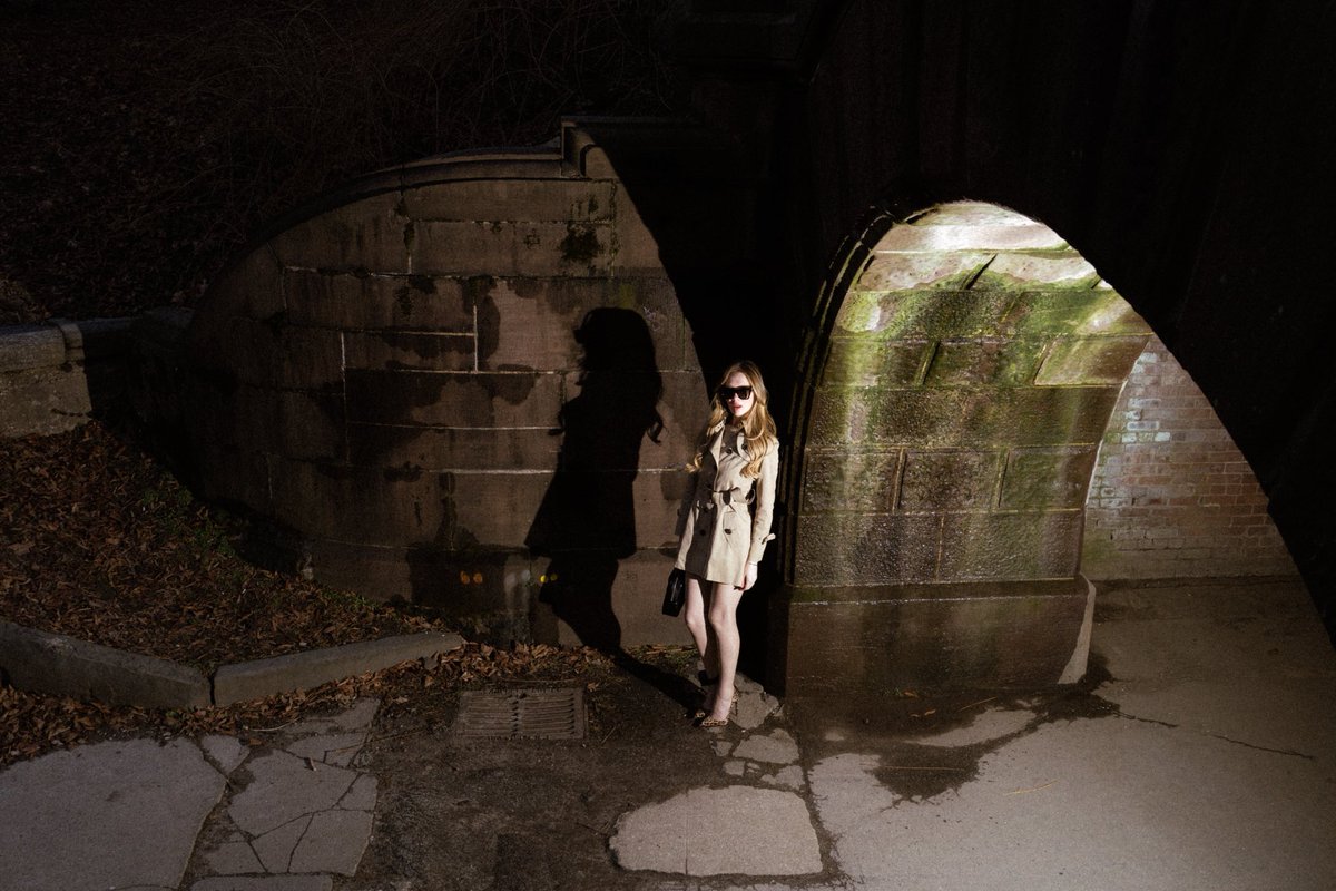 Anna Delvey tweet media