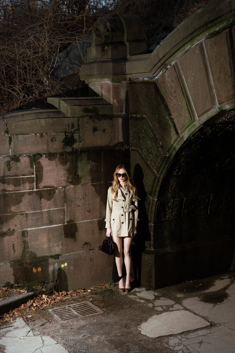 Anna Delvey tweet media