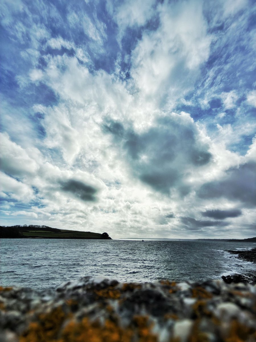 💙🐝💙 tweet media