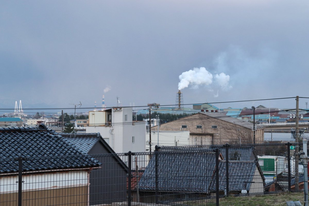 ため口 tweet media