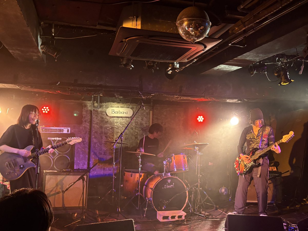 GOMASHIO tweet media