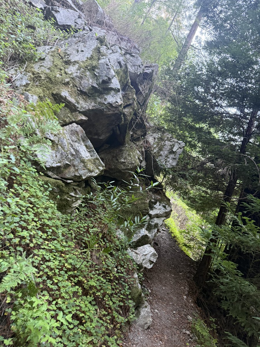 AdaptationsX tweet media