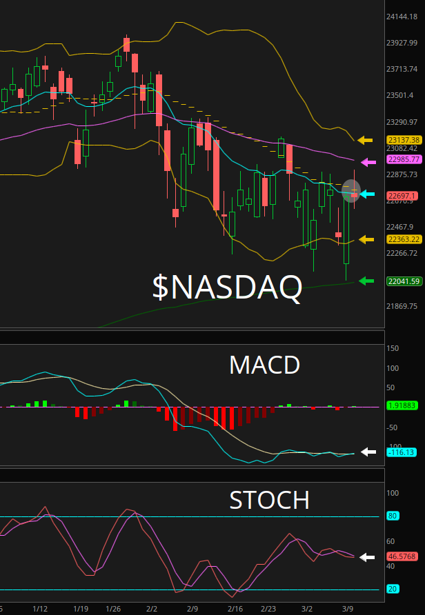 ChartingKatrina❤️🔥🎀 tweet media