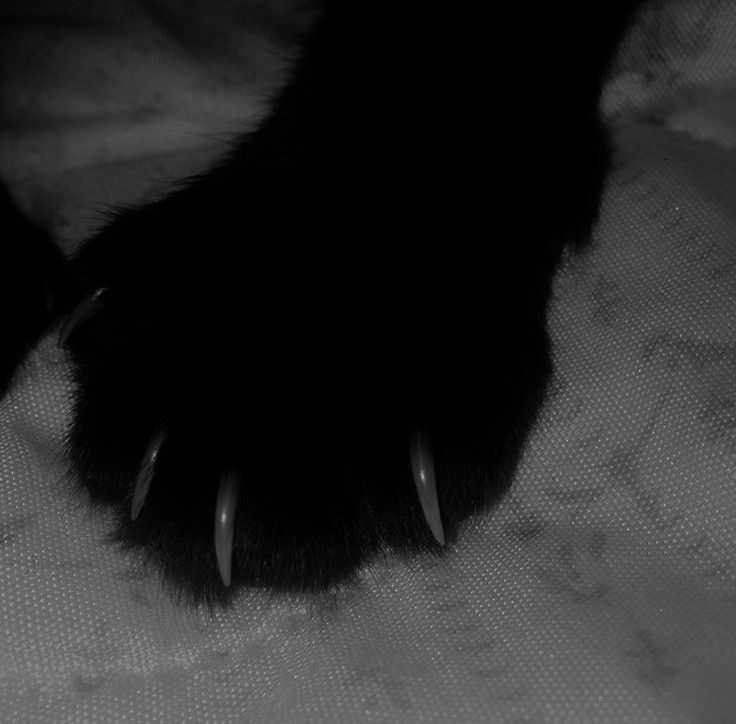 ๐พ๐๐
๐๐๐๐
๐๐ ๐จ๐
๐
๐๐๐ ๐พ ๐โโฌ tweet media