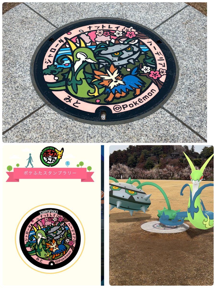 ミミchan tweet media