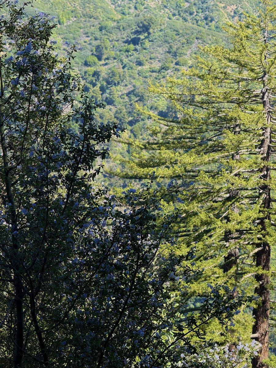 AdaptationsX tweet media