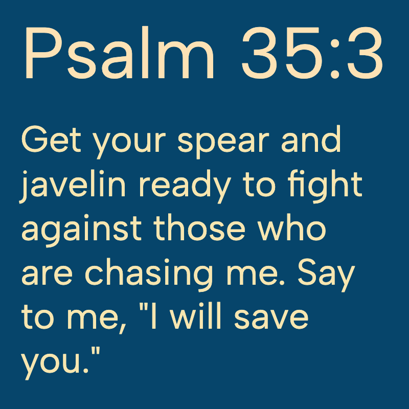 Daily Bible tweet media