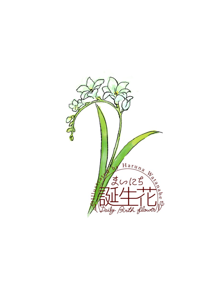 「3月11日 フリージア(白) 花言葉 無邪気 #1日1絵 #まいにち誕生花」|渡邊 春菜のイラスト