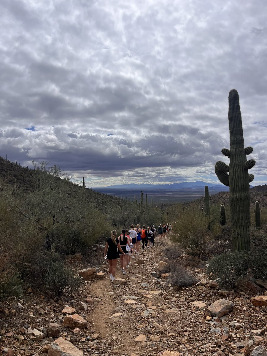 MidlandUSB's tweet photo. 🌵 Made the most of our rainout day and visited Saguaro National Park, hiking the Kings Canyon - Gould Mine Loop together 🌵 https://t.co/7UUAeikPB6