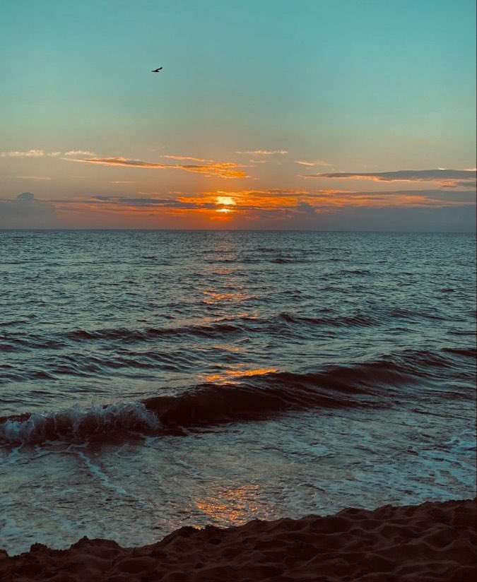 Mo Gaza 🍉🏹 tweet media