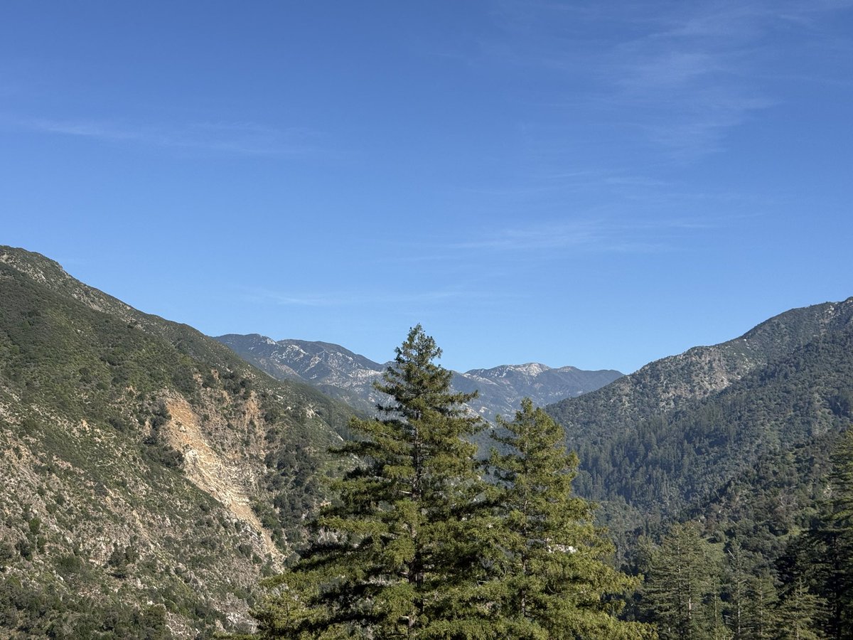 AdaptationsX tweet media