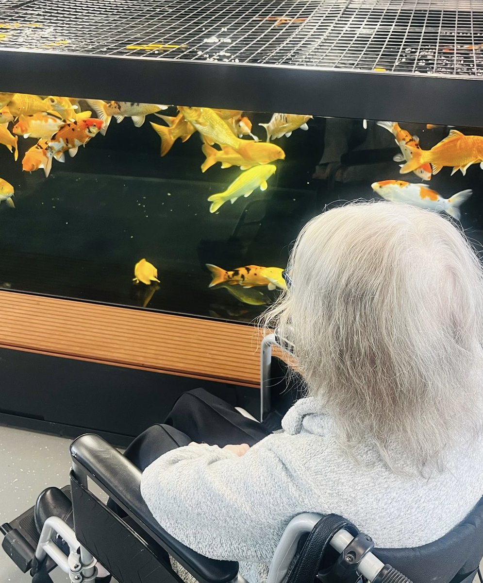 Cedar Court Nursing Home tweet media