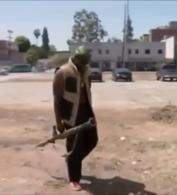 Coioxte🎯🐾 tweet media