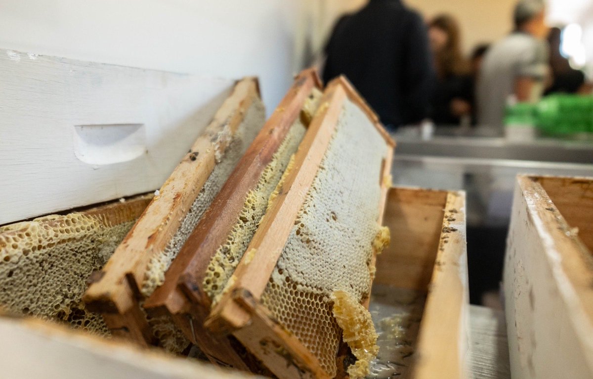 luquejuanpablo's tweet photo. Hoy acompañé a productores de nuestra ciudad en la inauguración de la sala de extracción de miel en Km. 17, impulsada por Comodoro Conocimiento.

Hace años, desde nuestra gestión en la intendencia empezamos a trabajar junto a ellos para abrir caminos de diversificación productiva en nuestra región, donde se creía que solo salía petróleo. 

Lo que empezó como una apuesta hoy es una realidad: producción local de todo tipo que crece, genera trabajo y alimenta a muchas familias de Comodoro.