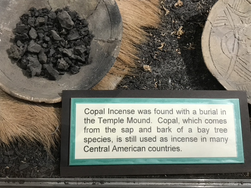 DrGregLittle2's tweet photo. Copal found with a burial at the Fort Walton Beach, Florida Temple Mound. https://t.co/EPxjSDPUgM
