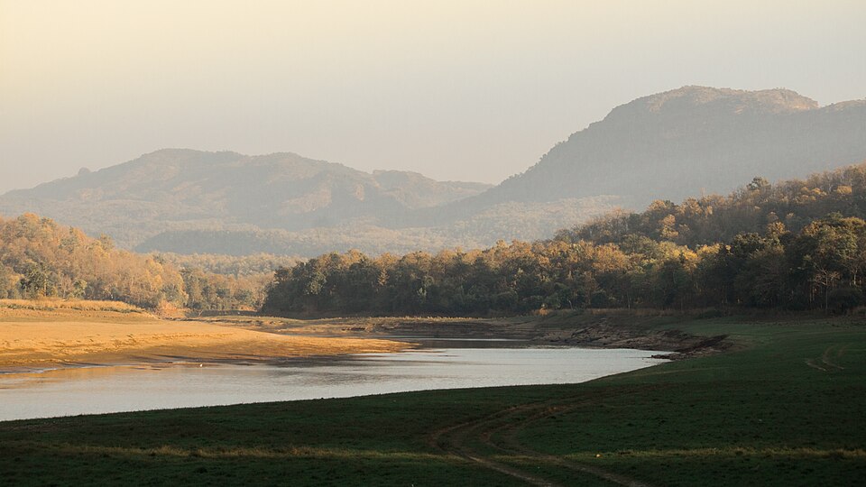 🐅🌿 Explore the wild heart of Central India at Satpura National Park — a biodiversity hotspot with tigers, leopards, sloth bears &amp; over 300 bird species in lush forests and rugged hills!  🔗 touristinindia.com/satpura-nation… #SatpuraNationalPark #TigerReserve #WildlifeIndia #MadhyaPradesh