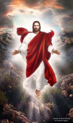 Profdrclaudio's tweet photo. Tomando sobretudo o escudo da fé, com o qual podereis apagar todos os dardos inflamados do maligno.
Efésios 6:16.
(Missionário Guimarães e Ministro Do Evangelho). https://t.co/yTYbBnxxa4