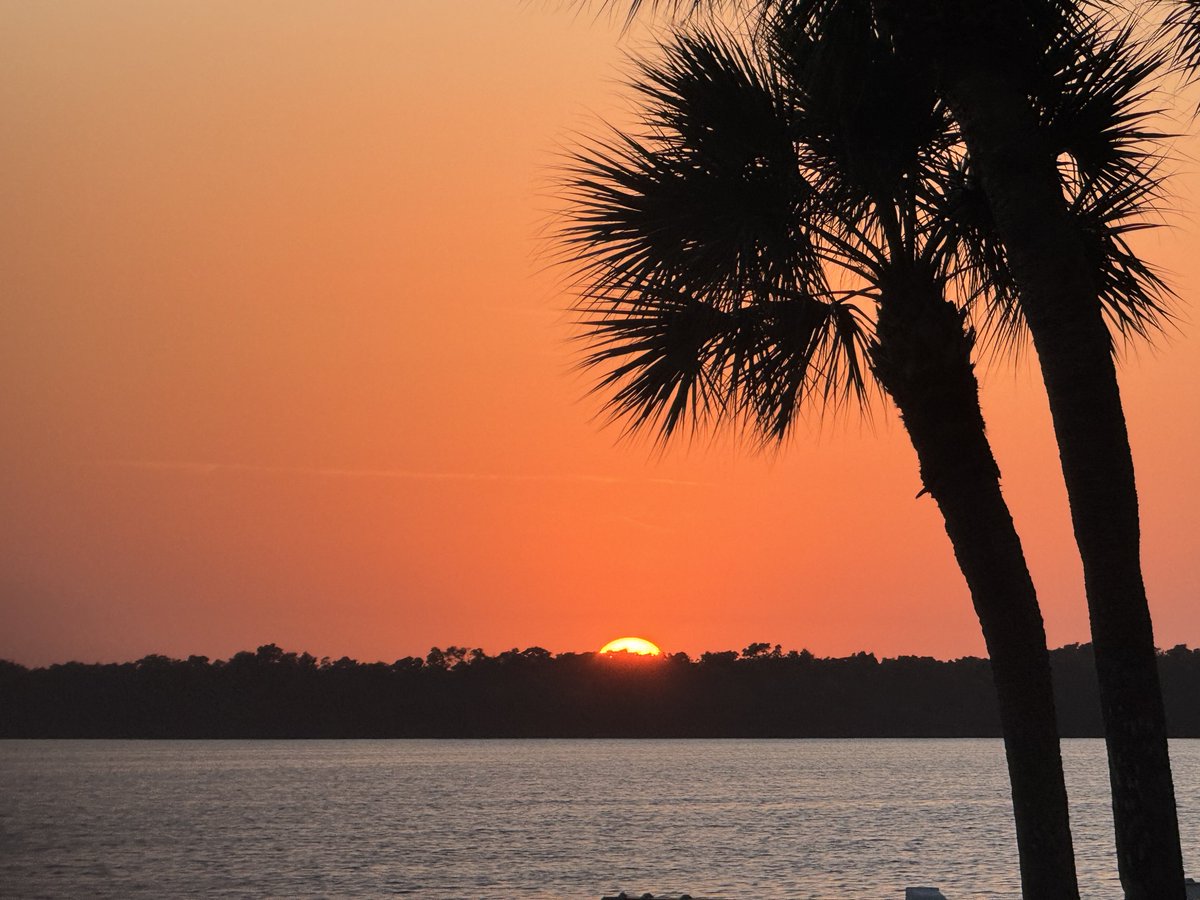 Gary Cardone tweet media