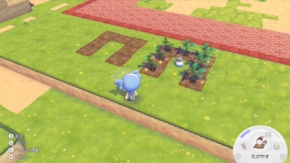 四代目 tweet media