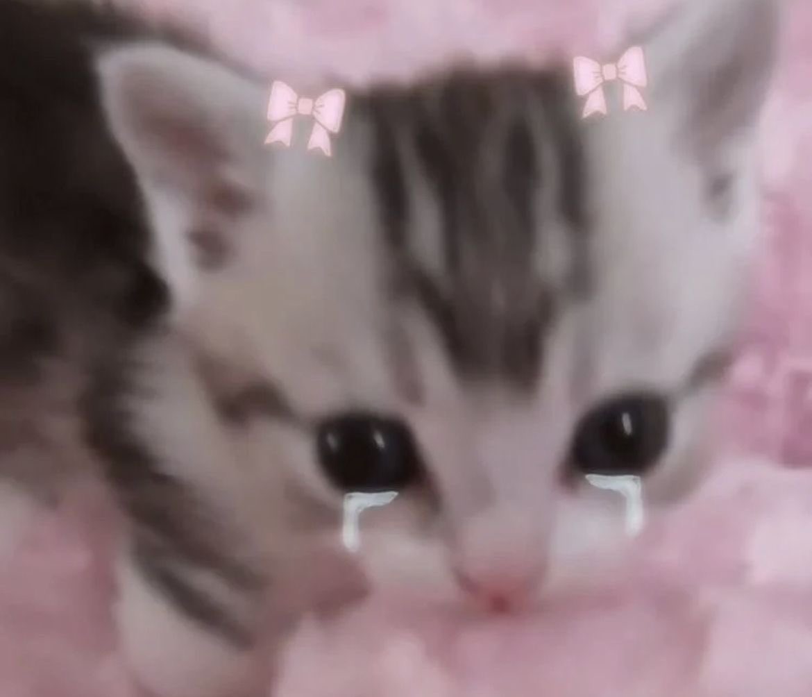 Angelinica666's tweet photo. @hakdeoki Hello? 😭 https://t.co/OLSQxgVlMw