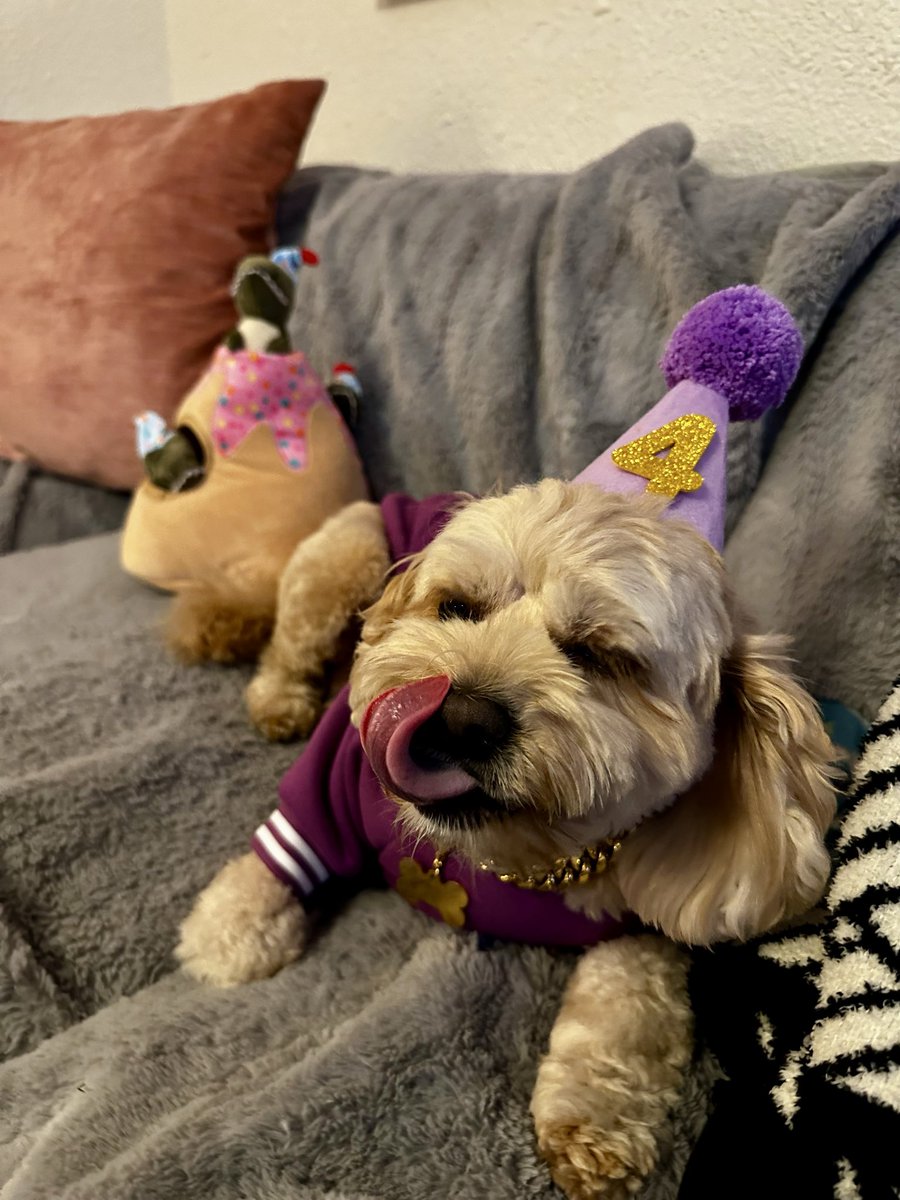 Meaghan Mingo tweet media