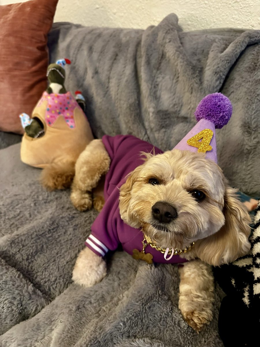 Meaghan Mingo tweet media