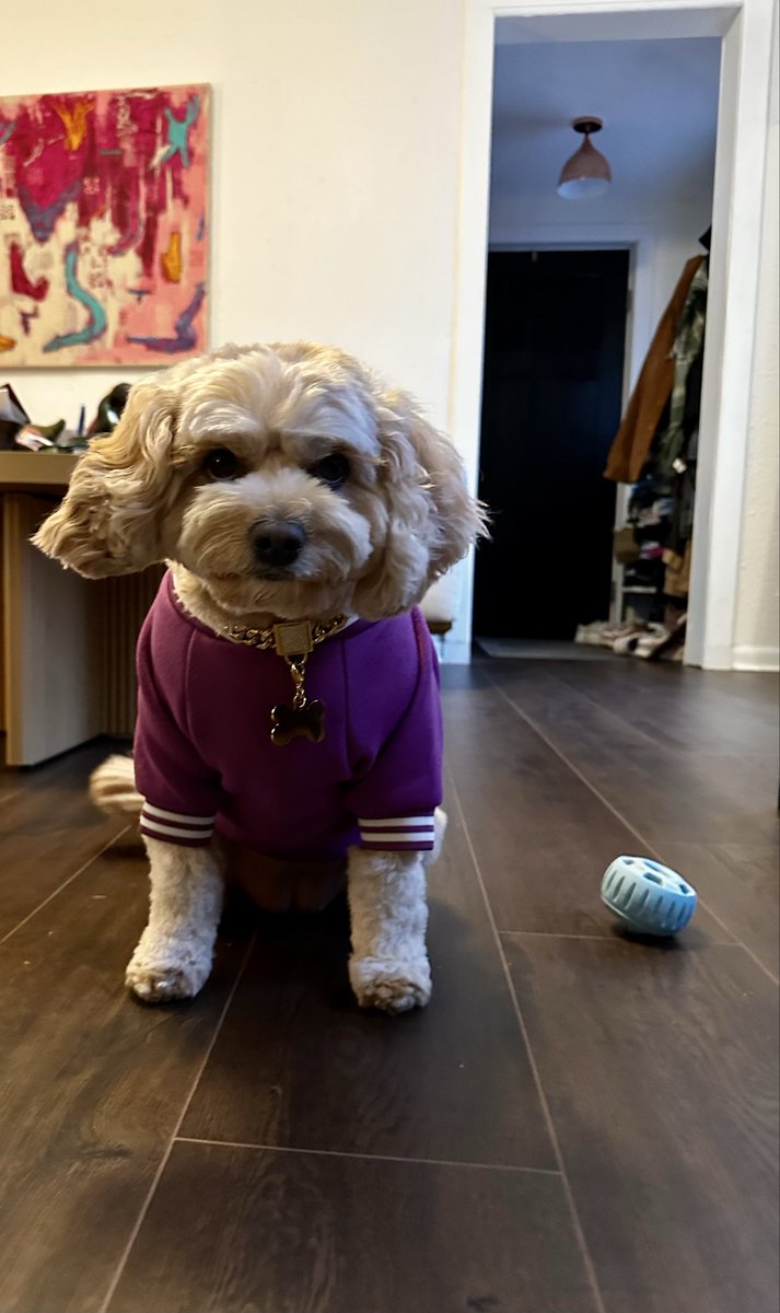 Meaghan Mingo tweet media