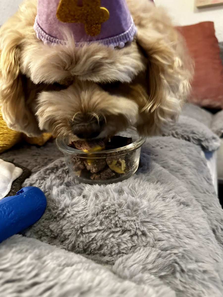 Meaghan Mingo tweet media