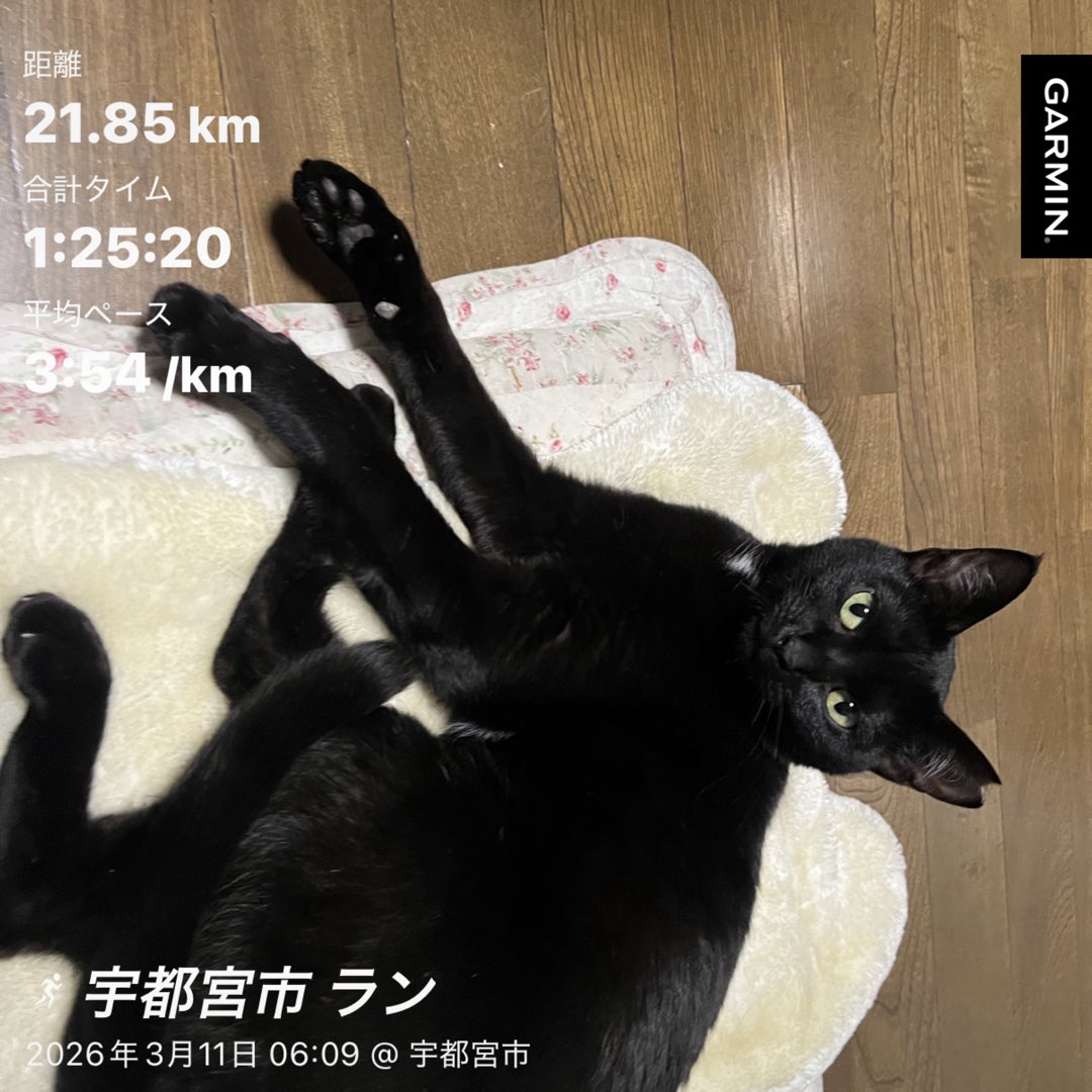 sntf9's tweet photo. 21.8km(3'54/km)

短い冬が終わったと思ったら逆戻り。昨日はまさかのドカ雪だったけど今日は快晴☀️
朝の空気が気持ちいい。

写真は最近やって来たらしい実家の猫🐈‍⬛ https://t.co/xtGBrdF0vn