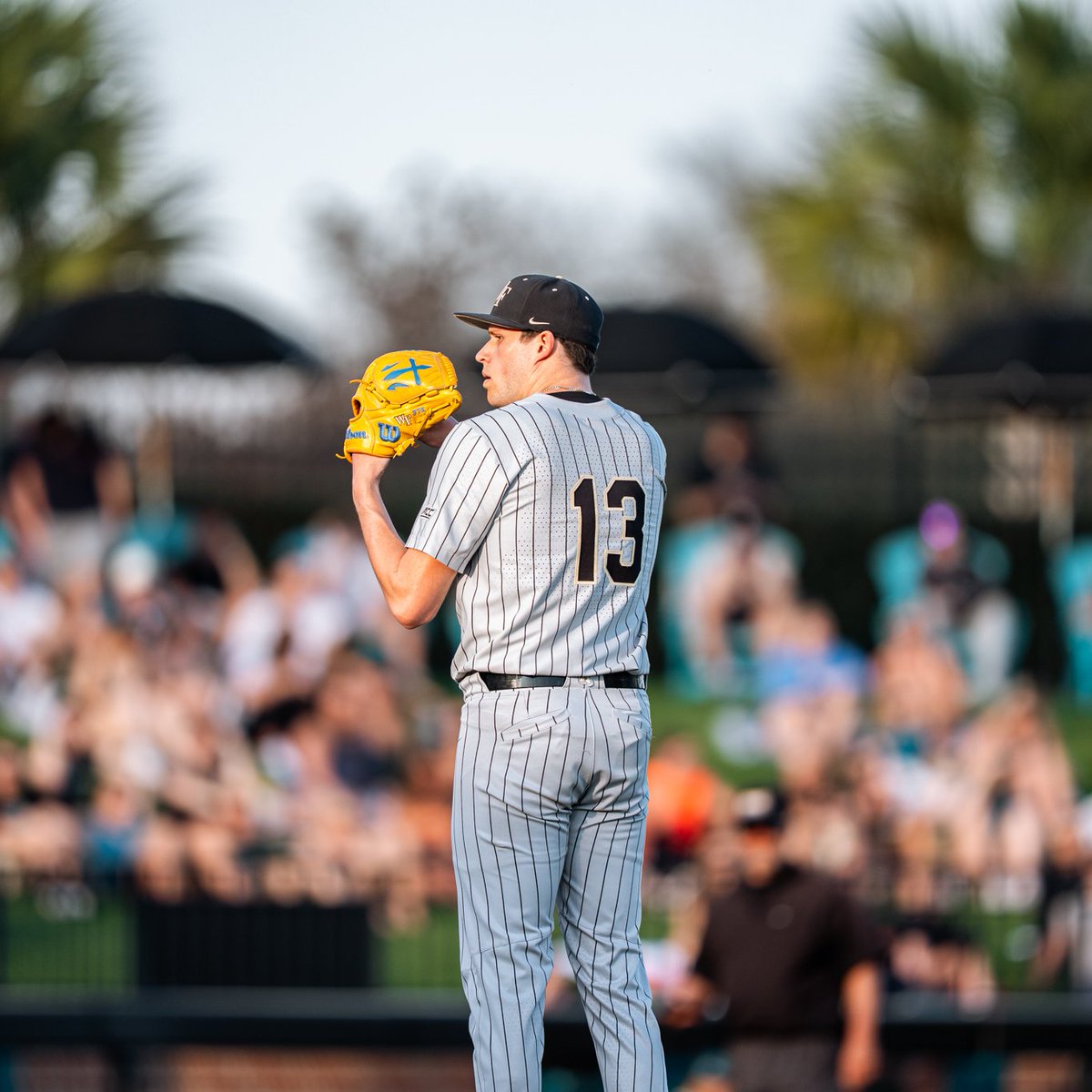 Wake Forest Baseball tweet media