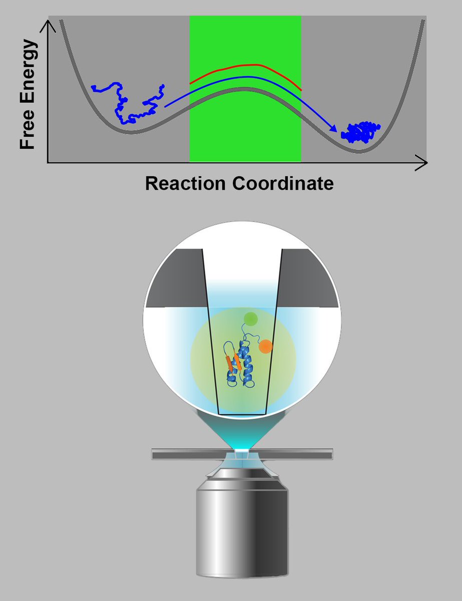Physics Magazine tweet media