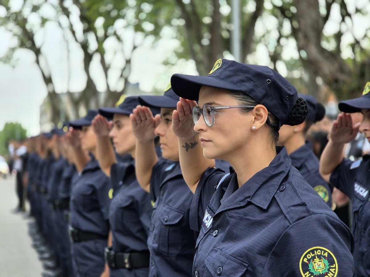 Carlos Negro tweet media