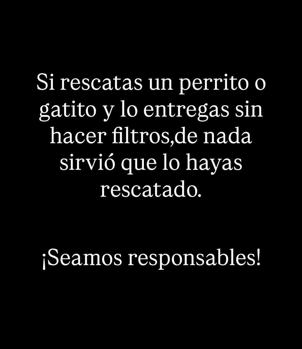 𝙷𝚎𝚕𝚊 𝙼𝚘𝚛𝚎 🐶 tweet media