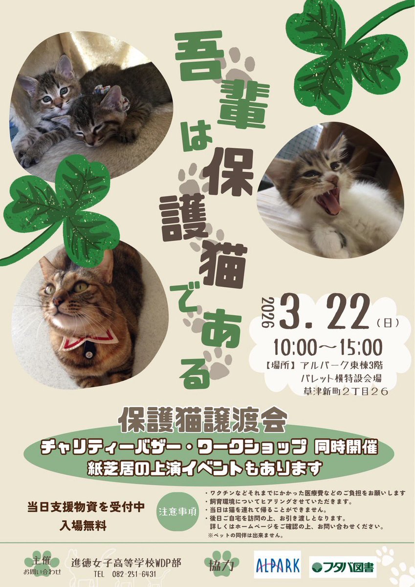 NPOSPICA's tweet photo. 🐱新しい家族を待っている猫たちがいます。

まだ名前のない保護猫たちに、
一生呼ばれる「名前」と
あたたかい家族を見つける譲渡会を開催します🐾

猫を家族に迎えたい方、
保護猫活動に興味のある方、
ぜひ気軽に遊びに来てください✨

当日は楽しい企画もたくさんあります！ https://t.co/Q2PYJ32gSR