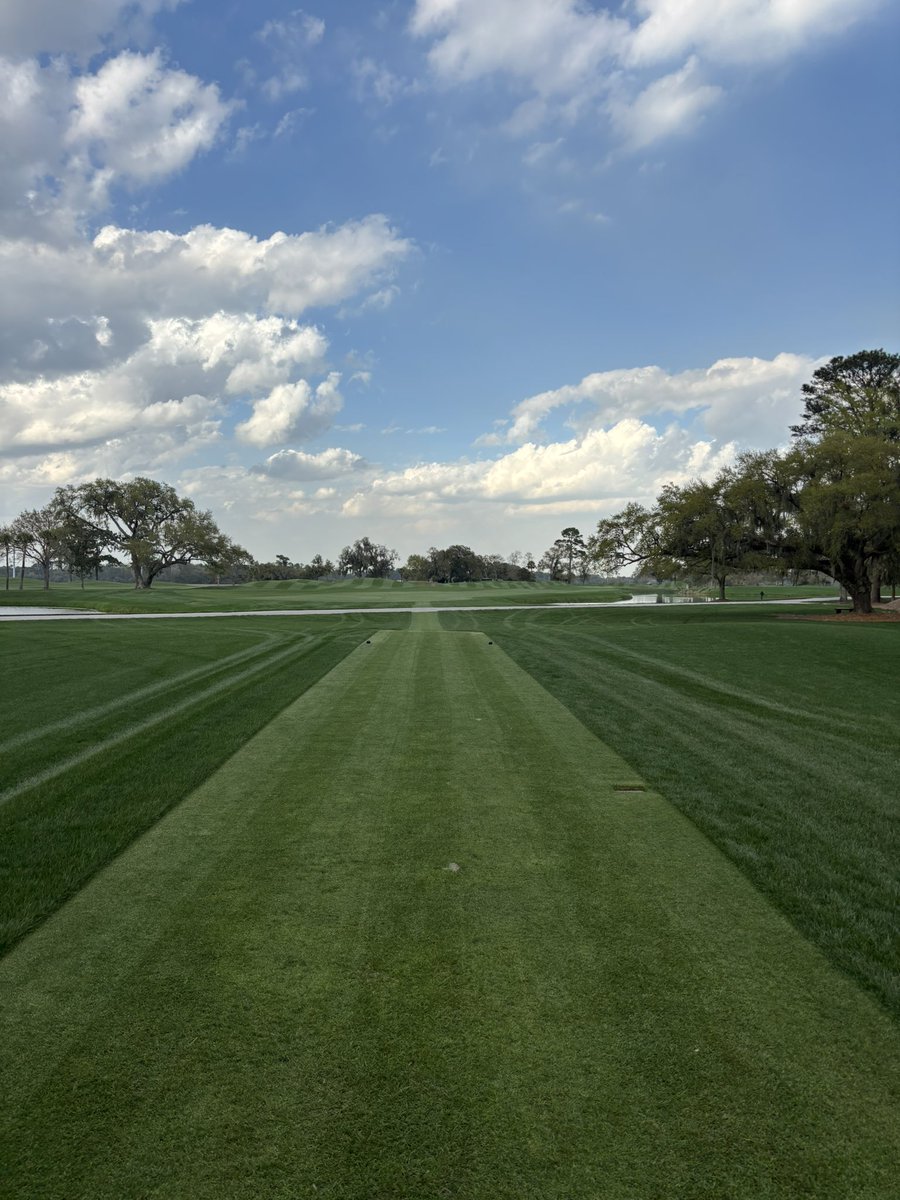 Doug Dimmadome tweet media