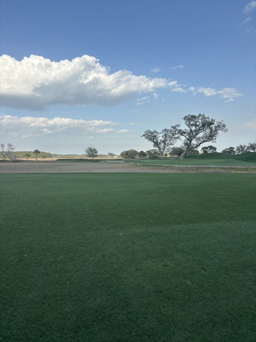 Doug Dimmadome tweet media