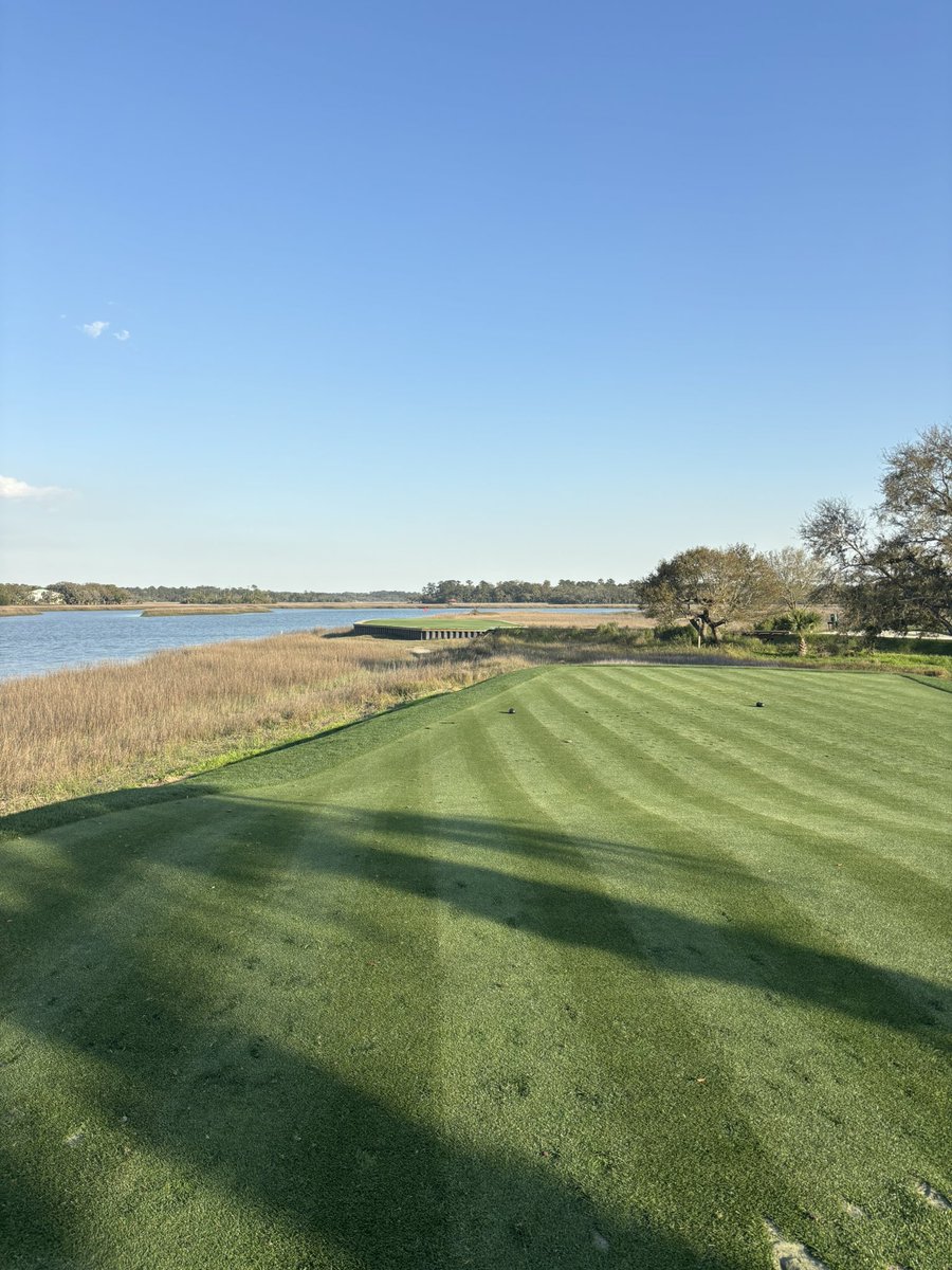 Doug Dimmadome tweet media