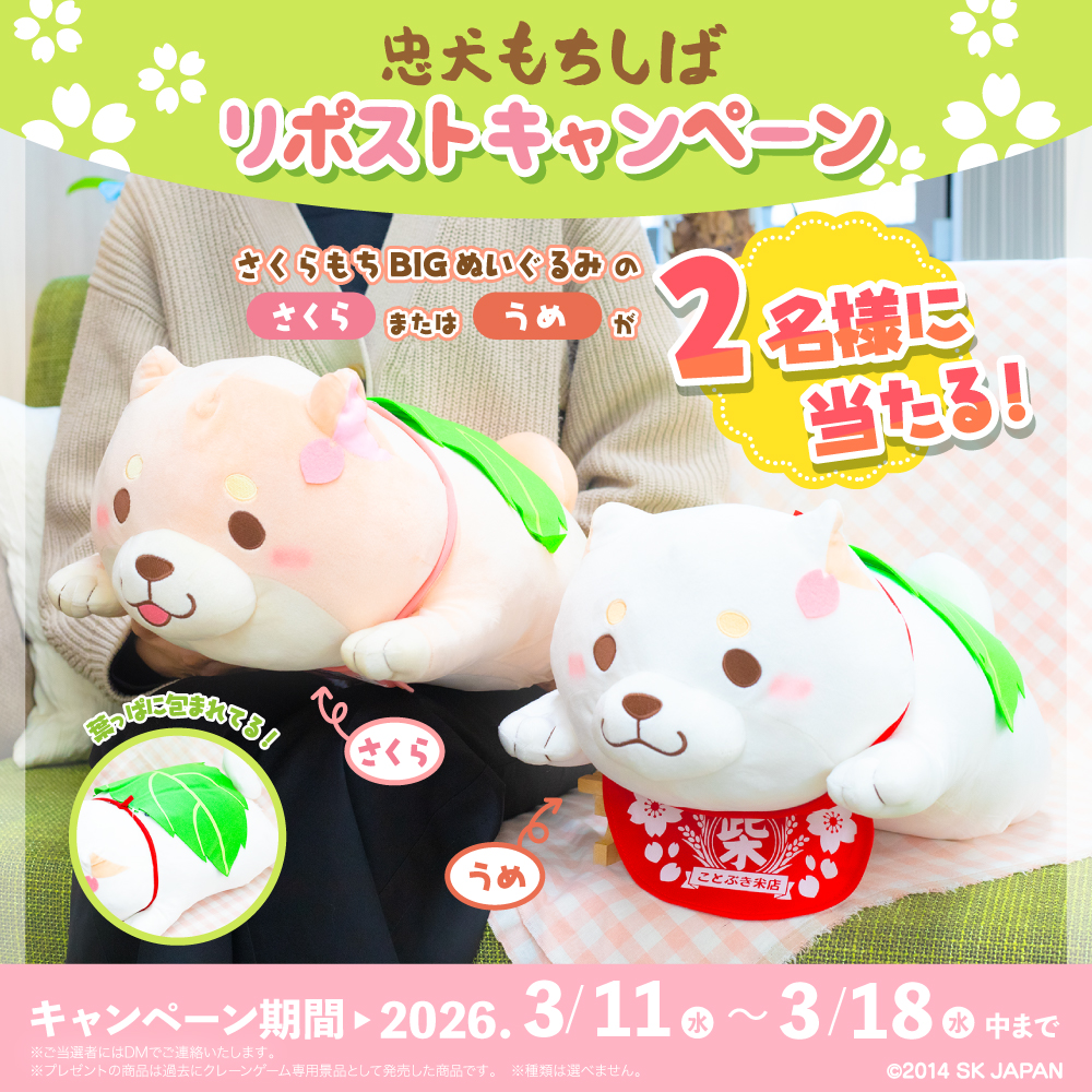 【リポストキャンペーン🎁】 

もう少しで春到来🌸
#忠犬もちしば  「さくらもちBIGぬいぐるみ」のいずれかを、抽選で2名様にプレゼント✨

＜応募方法＞
①本アカウント(<a href="/c_mochishiba/">忠犬もちしば【公式】</a>)をフォロー
②こちらのポストをリポスト(3/18まで) 
※ご当選はDMでお知らせいたします。