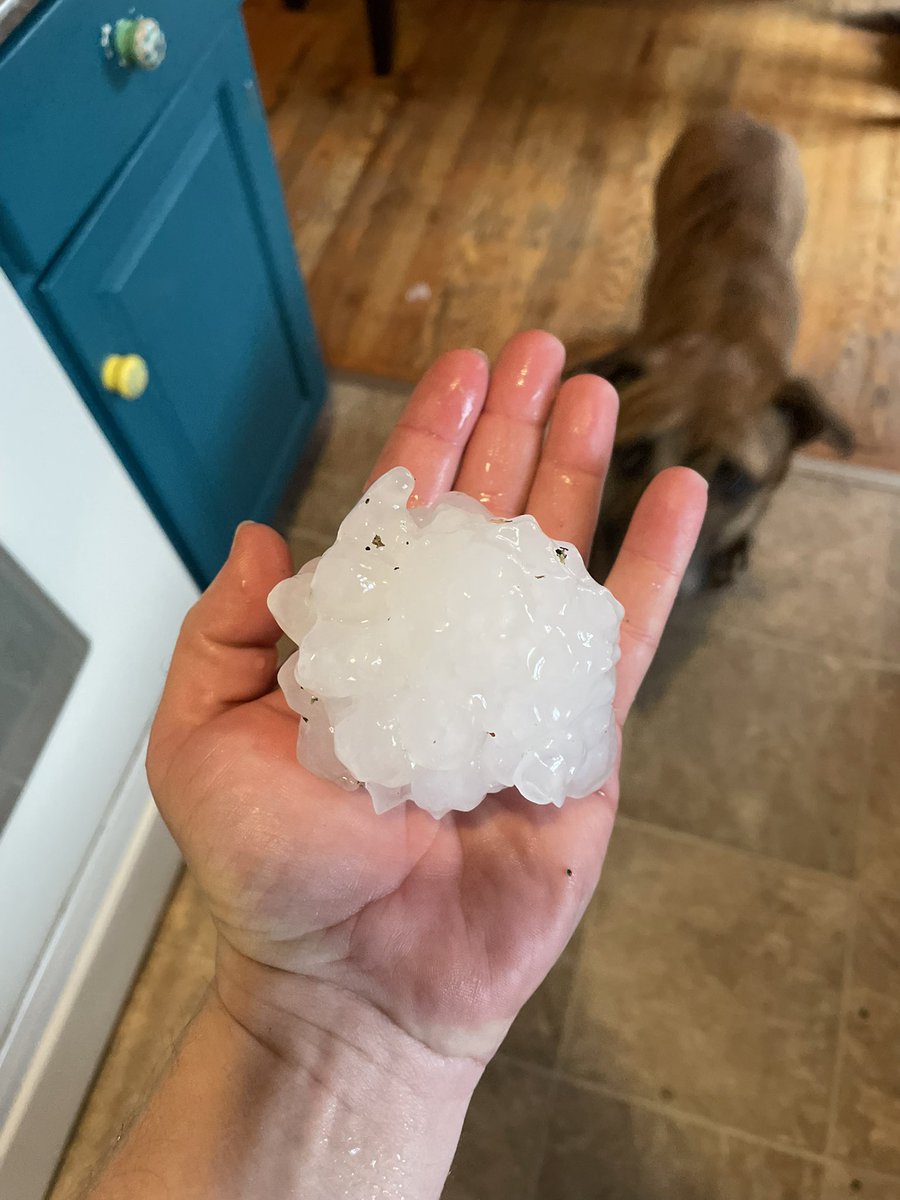 Matt Beckwith tweet media