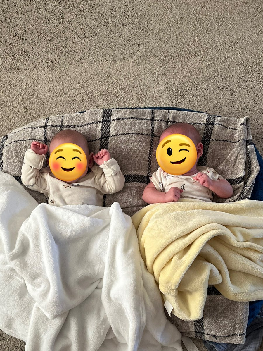 Christian Haley tweet media