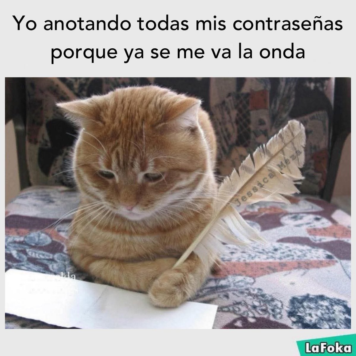 chinitoyuca's tweet photo. Ya hace falta hacer lista 📌
#alv #memoria 😎 https://t.co/wSTnDhHC9y
