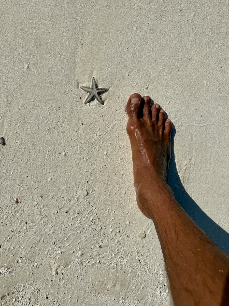 Mons†er tweet media